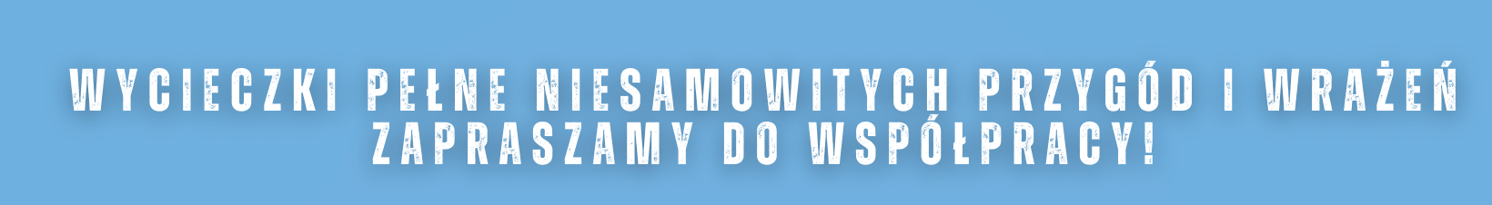 WYCIECZKI AUTOKAROWE WWW.DELFIN-TRAVEL.PL KALKULATOR WYCIECZEK.png